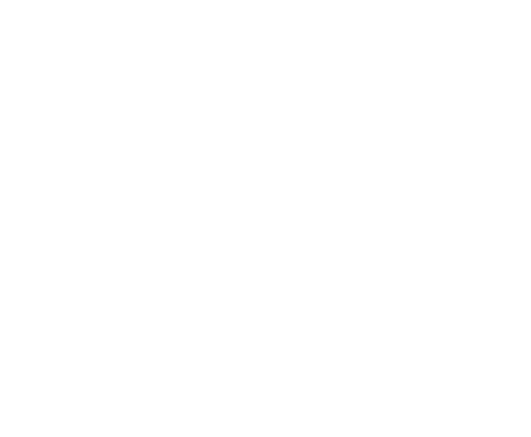 庖丁造肉